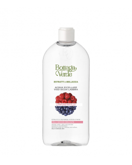 BV Gel micelar demachiant cu extract de zmeură și afine Beauty Extracts-blueberry and raspberry Micellar Gel Make Up Remover , 400 ml