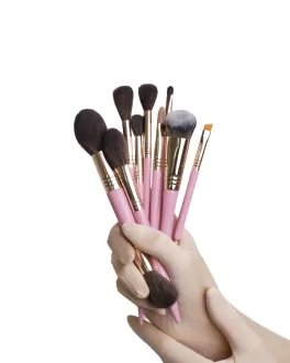 Bellany Set pensule de machiaj Pinky Set, 12 buc