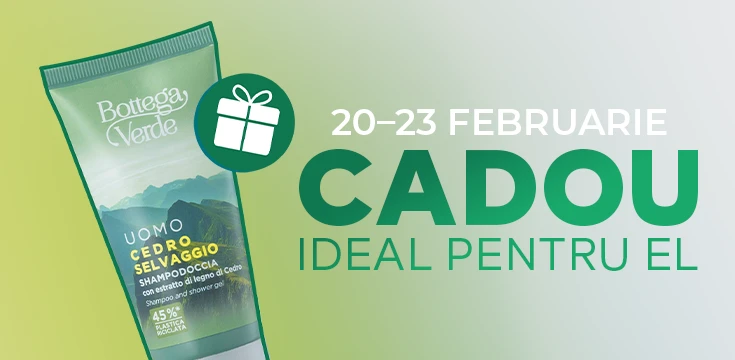 CADOU pentru bărbați